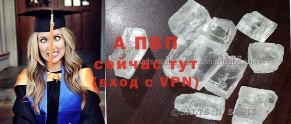 спиды Аркадак
