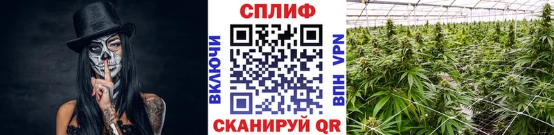 сайты даркнета официальный сайт  Солнечногорск  Марихуана THC 21% 